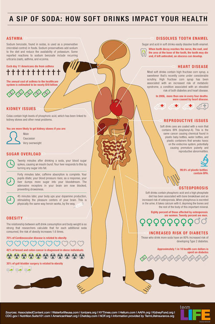 sodas impact on health infographic